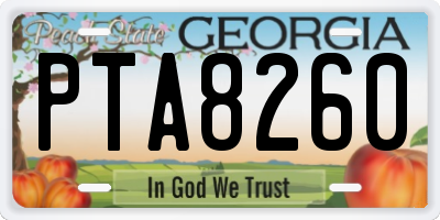 GA license plate PTA8260