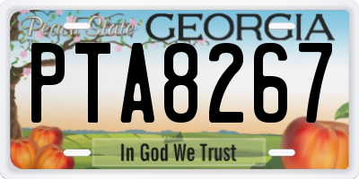 GA license plate PTA8267