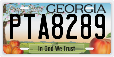 GA license plate PTA8289