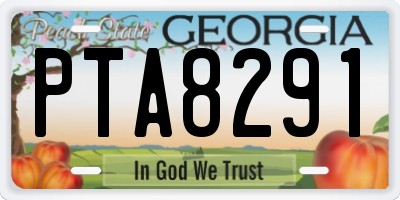 GA license plate PTA8291