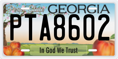 GA license plate PTA8602