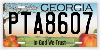 GA license plate PTA8607