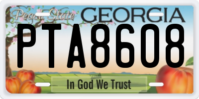 GA license plate PTA8608