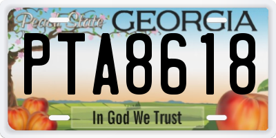 GA license plate PTA8618