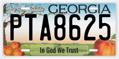 GA license plate PTA8625