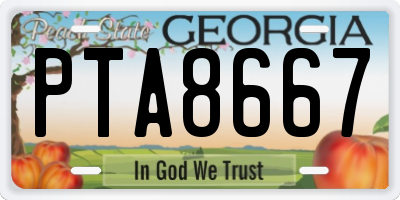GA license plate PTA8667