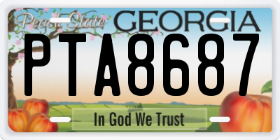 GA license plate PTA8687