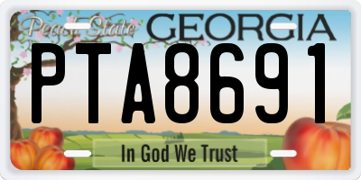 GA license plate PTA8691