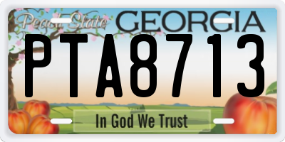 GA license plate PTA8713