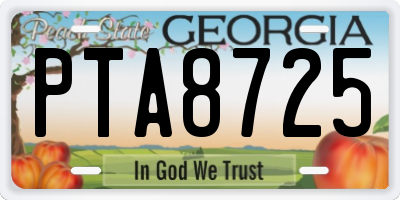 GA license plate PTA8725