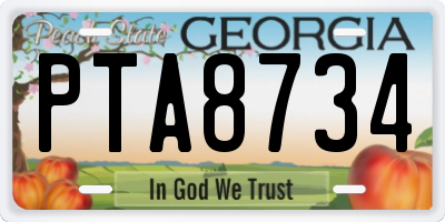 GA license plate PTA8734