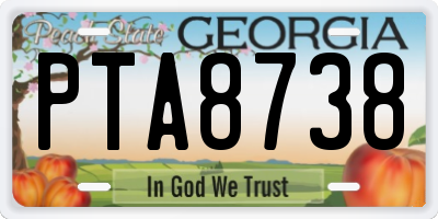 GA license plate PTA8738