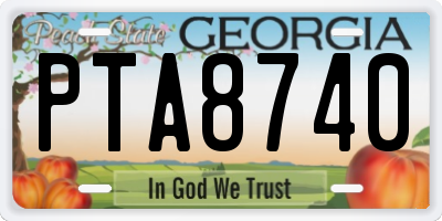 GA license plate PTA8740