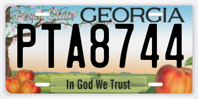 GA license plate PTA8744