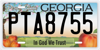 GA license plate PTA8755