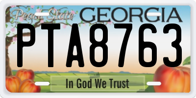 GA license plate PTA8763