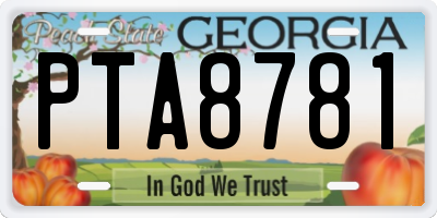 GA license plate PTA8781