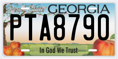 GA license plate PTA8790
