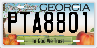 GA license plate PTA8801