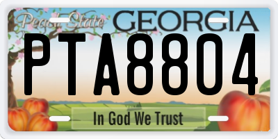 GA license plate PTA8804