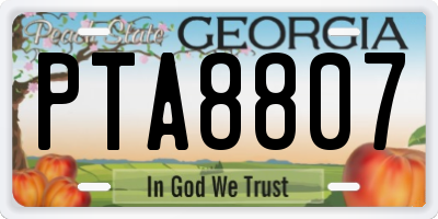 GA license plate PTA8807