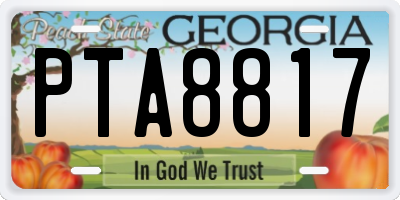 GA license plate PTA8817