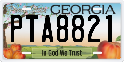 GA license plate PTA8821