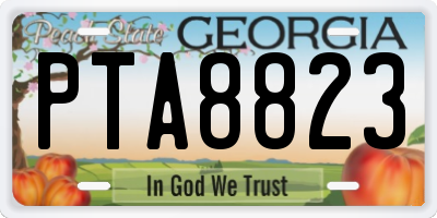 GA license plate PTA8823