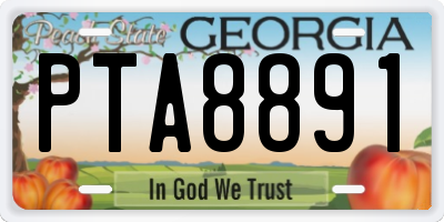 GA license plate PTA8891