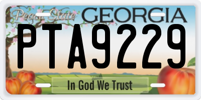 GA license plate PTA9229