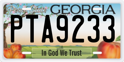 GA license plate PTA9233