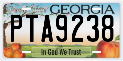 GA license plate PTA9238