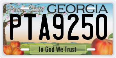 GA license plate PTA9250