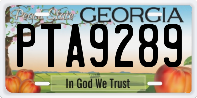 GA license plate PTA9289