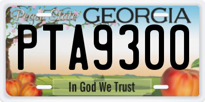 GA license plate PTA9300