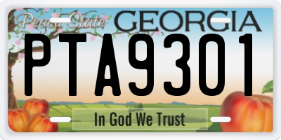 GA license plate PTA9301