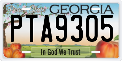 GA license plate PTA9305