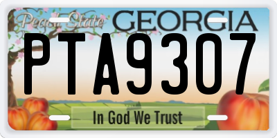 GA license plate PTA9307