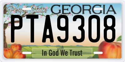 GA license plate PTA9308