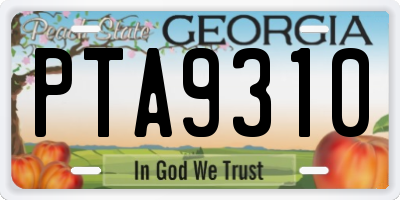 GA license plate PTA9310