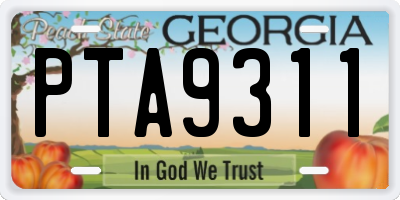 GA license plate PTA9311