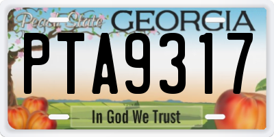 GA license plate PTA9317