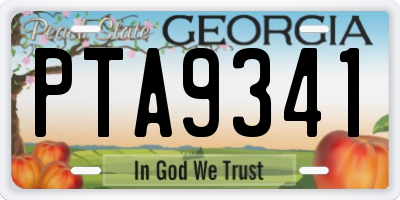 GA license plate PTA9341