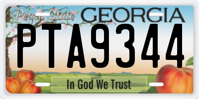 GA license plate PTA9344