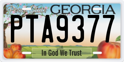 GA license plate PTA9377