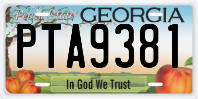 GA license plate PTA9381
