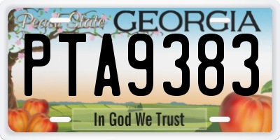 GA license plate PTA9383