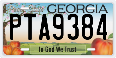 GA license plate PTA9384