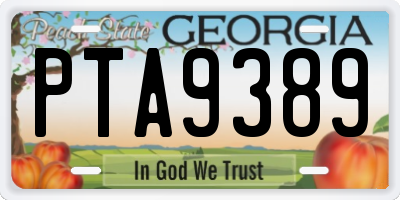 GA license plate PTA9389