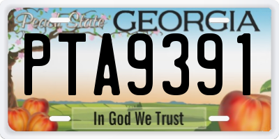 GA license plate PTA9391